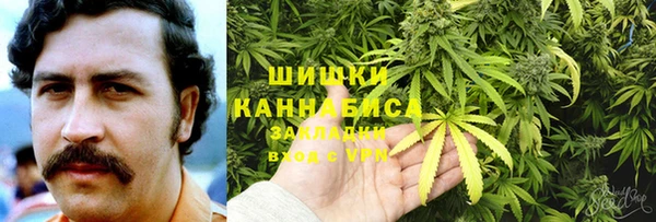 гидра Алексин