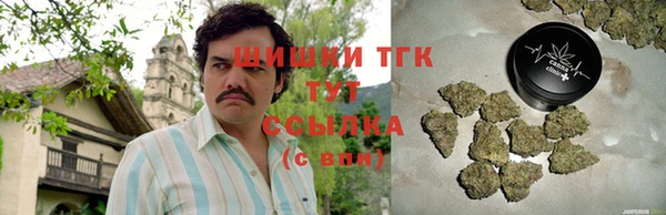 гидра Алексин